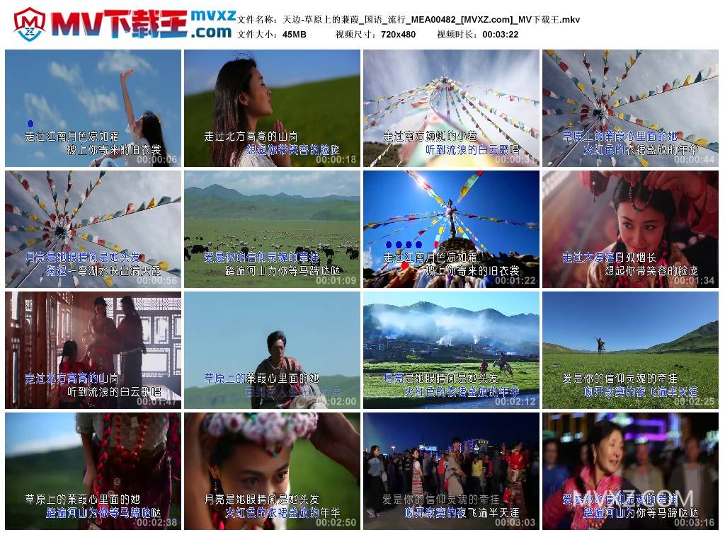 天边-草原上的蒹葭_国语_流行_MEA00482